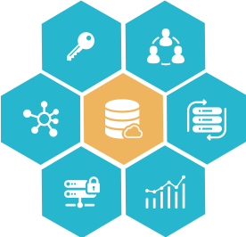IB Services & Technologies